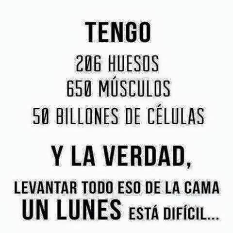 20292_982026761872971_860979859045750565_n